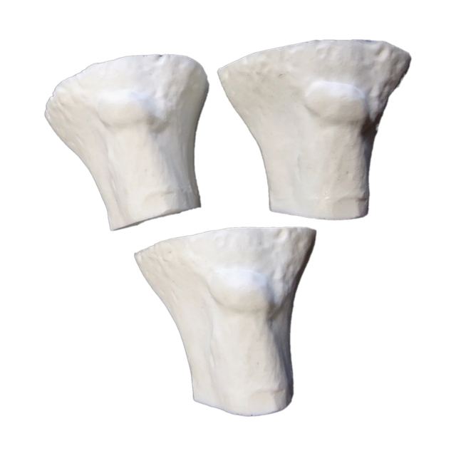 Zestaw-3-wymiennych-wkladow-kostnych-do-trenazera-Techline-IO-in-a-Box®